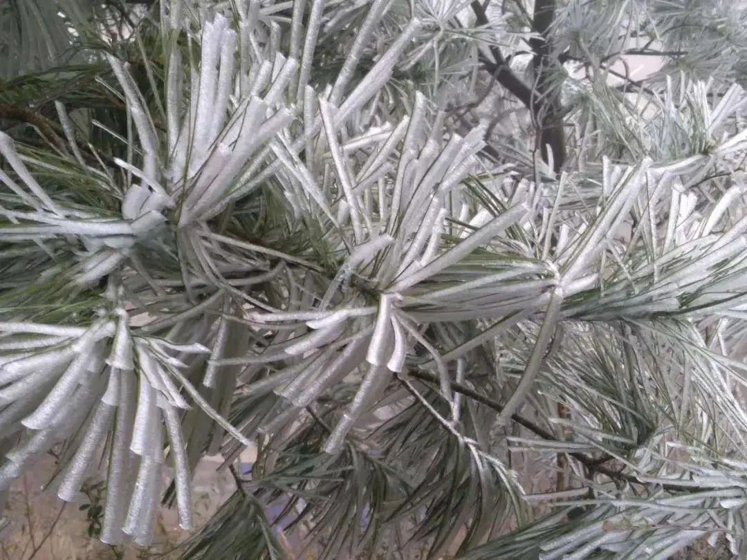 室外大雪紛飛，室內(nèi)溫暖如春，這種爐子取暖簡直給力！